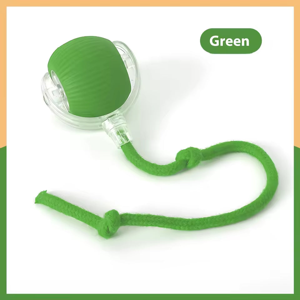 Jouet Interactif pour Chat